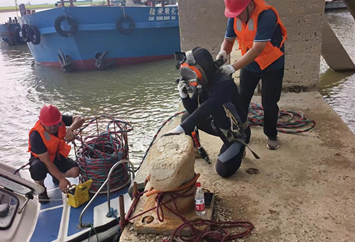 赛得利(九江)纤维头桩水下检测项目 赛得利(九江)纤维头桩水下检测项目