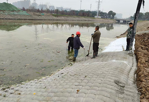 1768705322418524.jpg 1.jpg