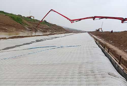 1768705350207423.jpg 3.jpg