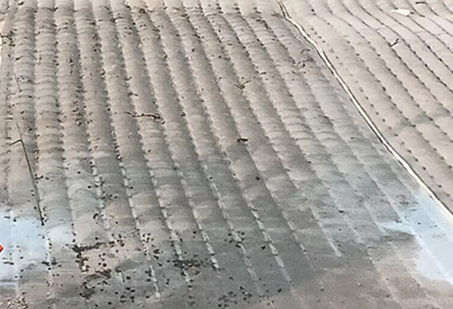 1768705389209890.jpg 6.jpg